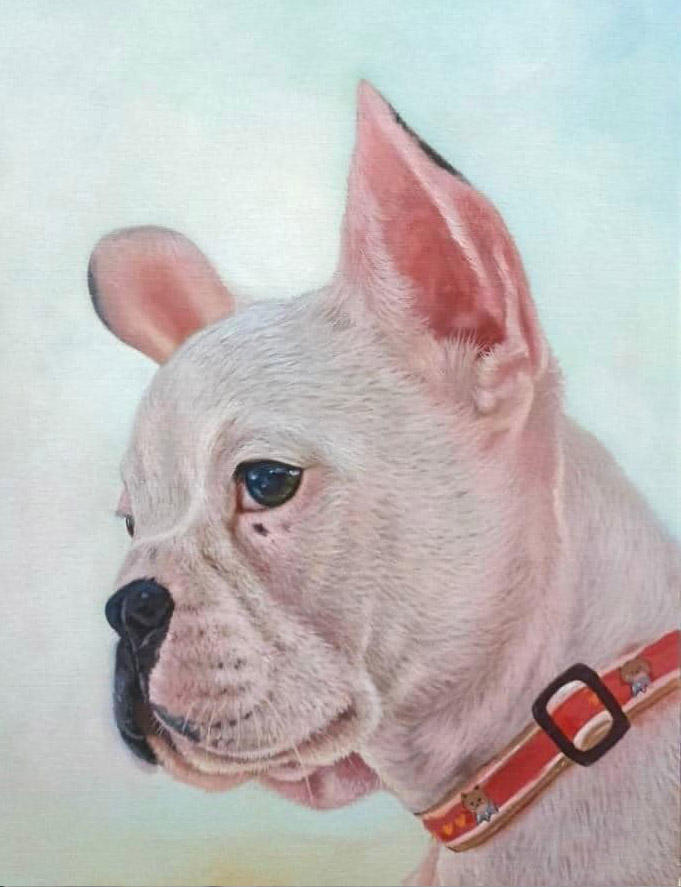 Portrait d'un chien
