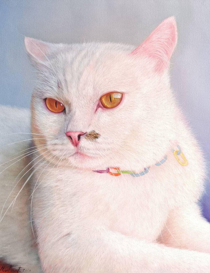 Peintures de chats