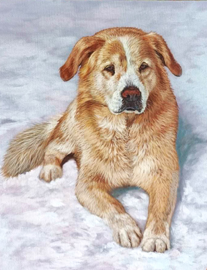 Portrait d'un chien rouge