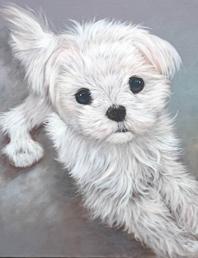 Peinture de portrait personnalisée de chien blanc